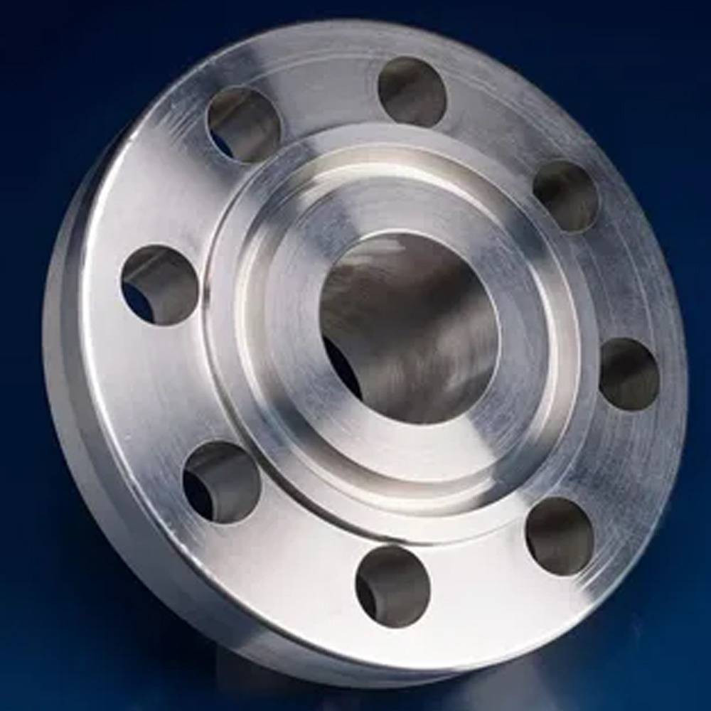 Stainless Steel 304H Ring Type Joint Flange